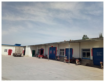 關(guān)于金環(huán)