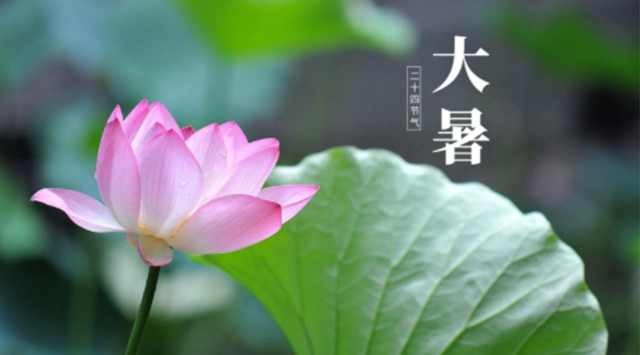 大暑時節(jié)！金環(huán)電器提醒大家注意這些干衣細(xì)節(jié)