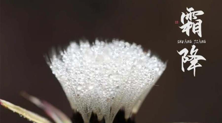 霜降時節(jié)！金環(huán)電器提醒大家要注意的事項