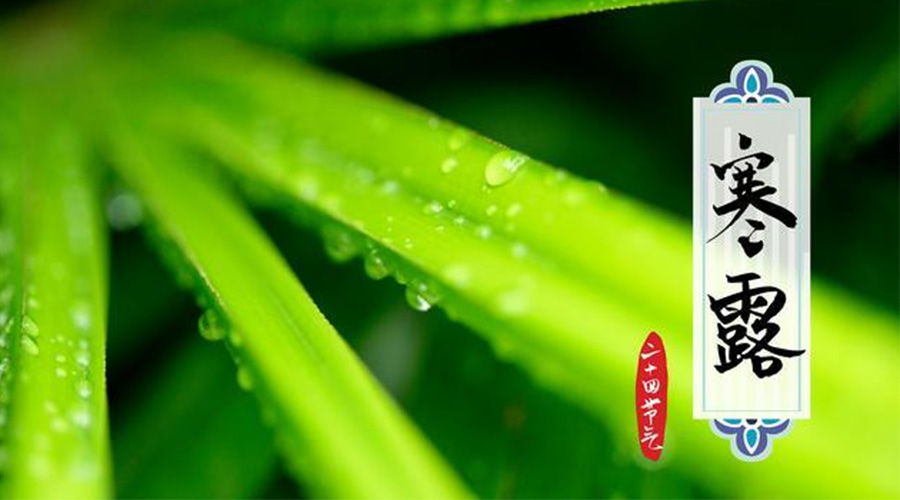 寒露時(shí)節(jié)到！金環(huán)電器提醒這些干衣事項(xiàng)要注意