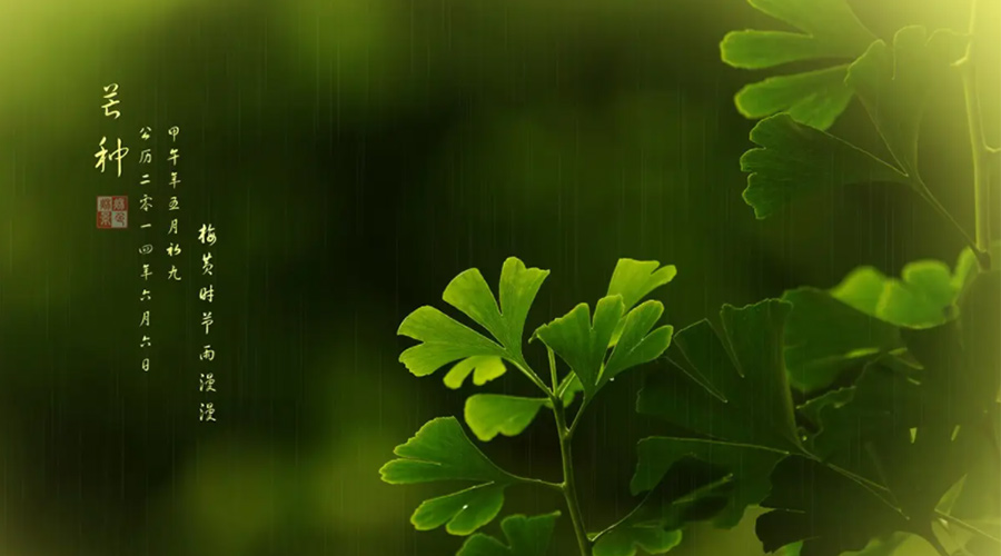 芒種時節(jié)！金環(huán)電器提醒大家的注意事項