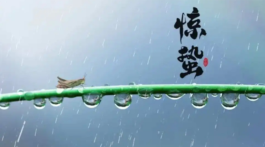 驚蟄時(shí)節(jié)！金環(huán)電器提醒大家干衣要注意這些