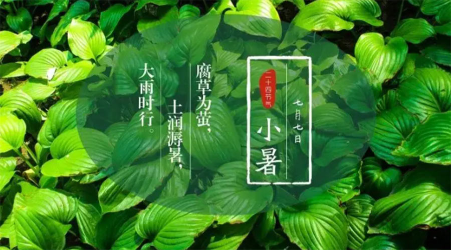 小暑時節(jié)來到！金環(huán)電器提醒大家要注意的事項