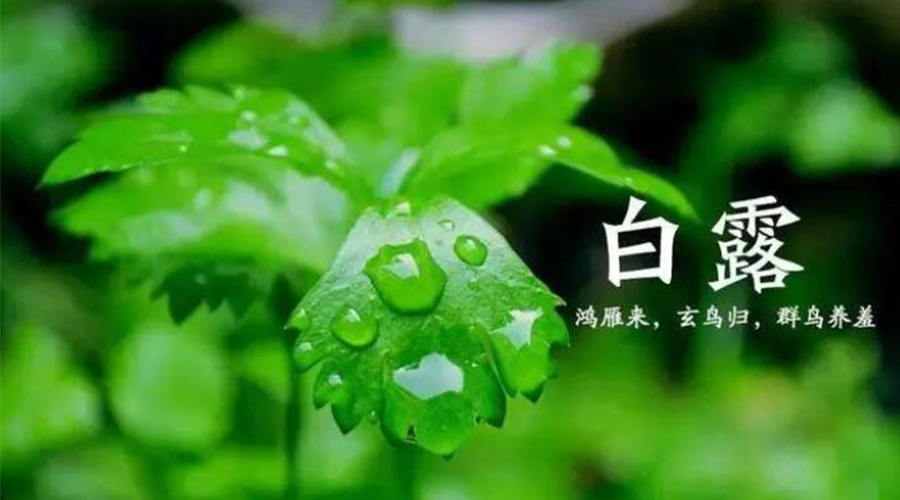 白露時節(jié)！金環(huán)電器提醒大家要注意的事項