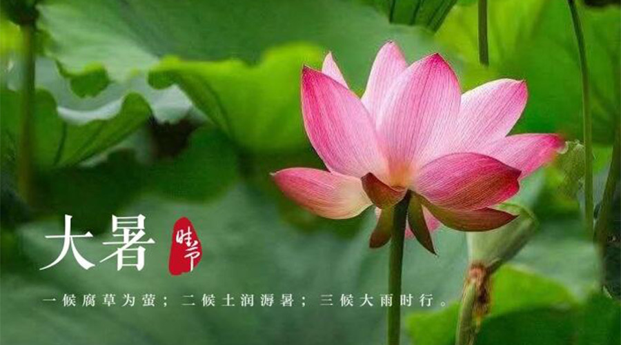 大暑時(shí)節(jié)！金環(huán)電器提醒大家要注意的事項(xiàng)